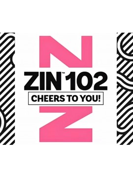 ZUMBA 102 ZIN 102 VIDEO+MUSIC